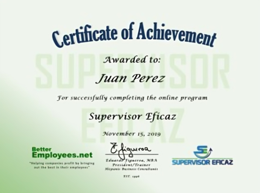diploma_SE_small_a0f3e633-91a3-4142-8dc3-7a4ec51d9840_1.png